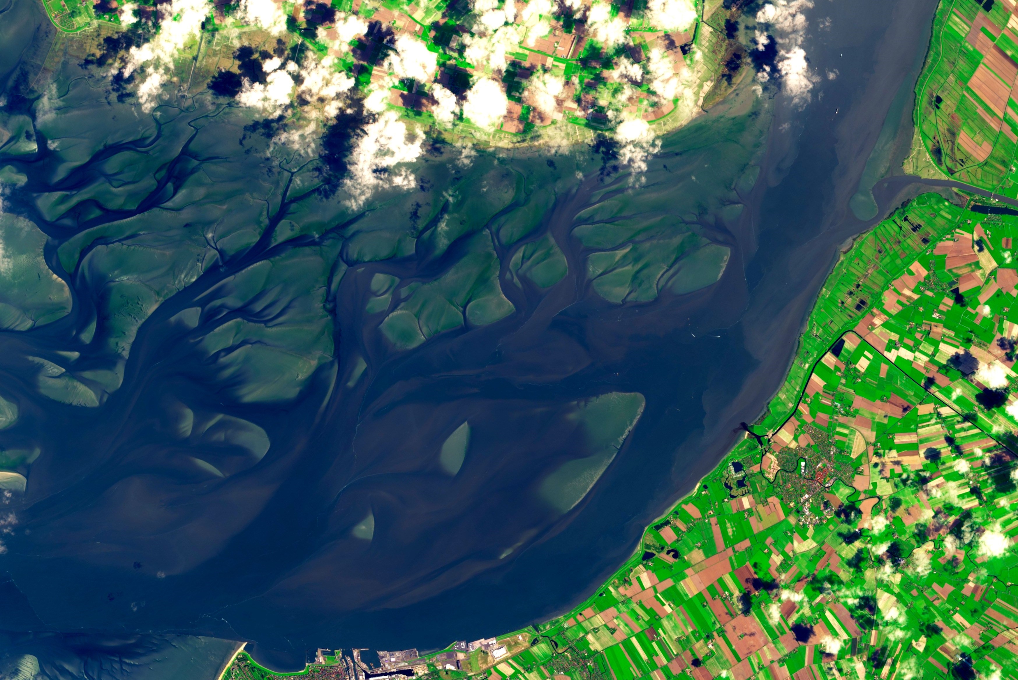 The elbe delta