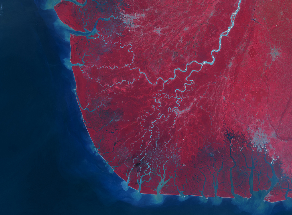 The niger delta